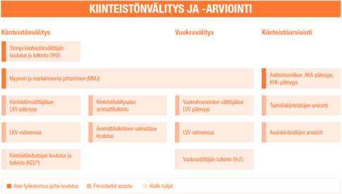 kaavio_kiinteistonvalitys_ja_arviointi